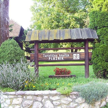 Guest House Turisticna Kmetija Plaznik Ljubno Extérieur photo