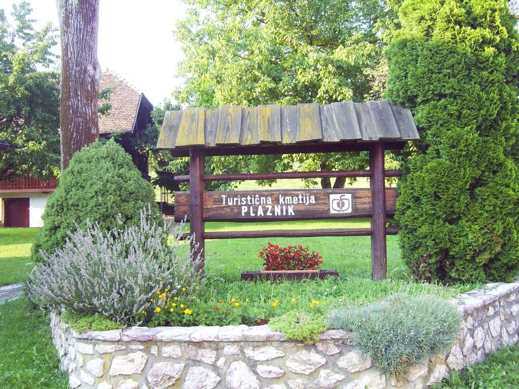 Guest House Turisticna Kmetija Plaznik Ljubno Extérieur photo