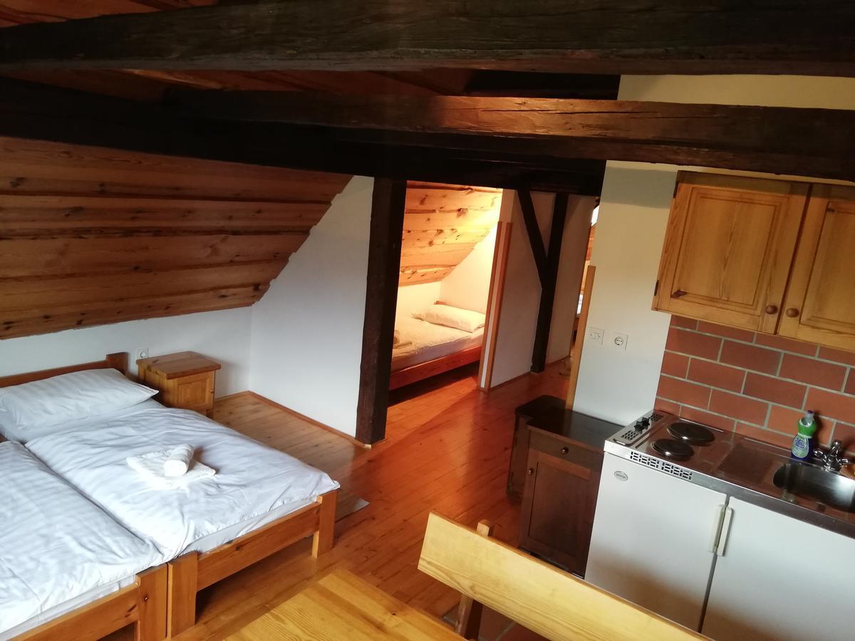 Guest House Turisticna Kmetija Plaznik Ljubno Extérieur photo