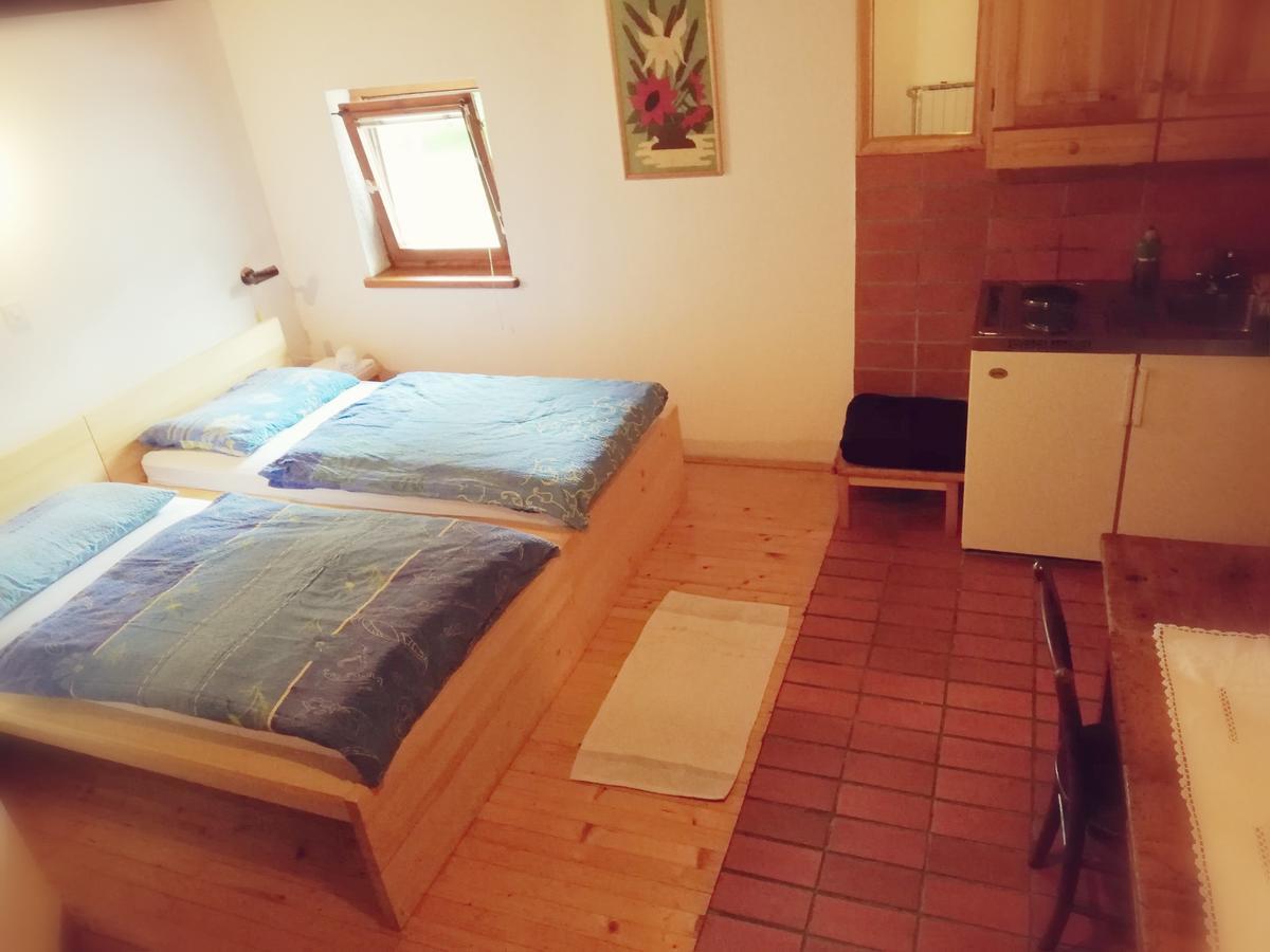 Guest House Turisticna Kmetija Plaznik Ljubno Extérieur photo